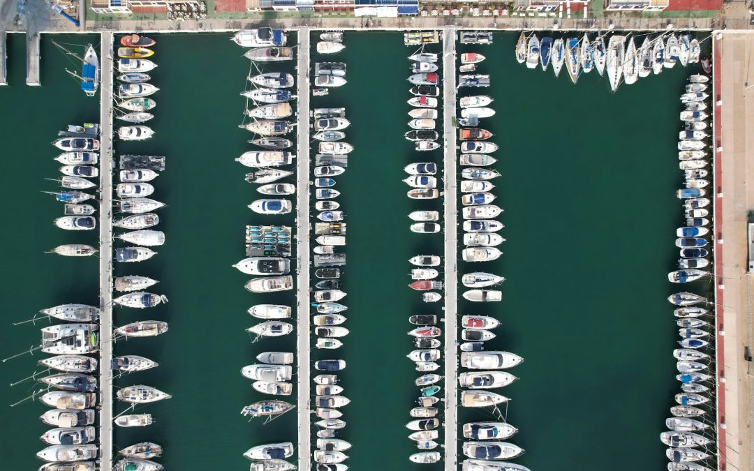 cenital image of a port