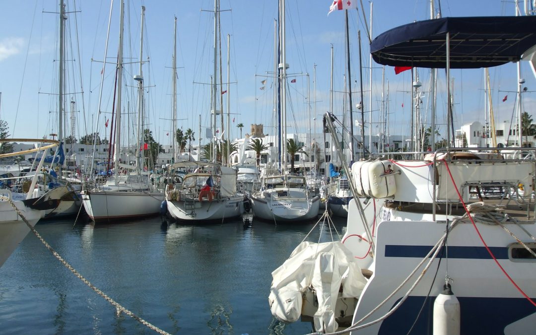 docked boats